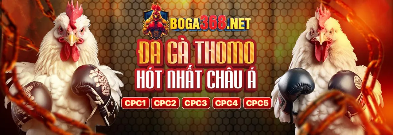 Đá Gà Trực Tuyến J88dl
